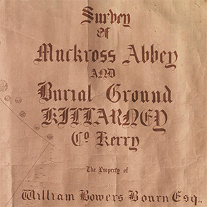 abbey survey