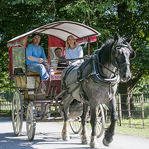 Jaunting Car ride, Muckross House, Killarney. 