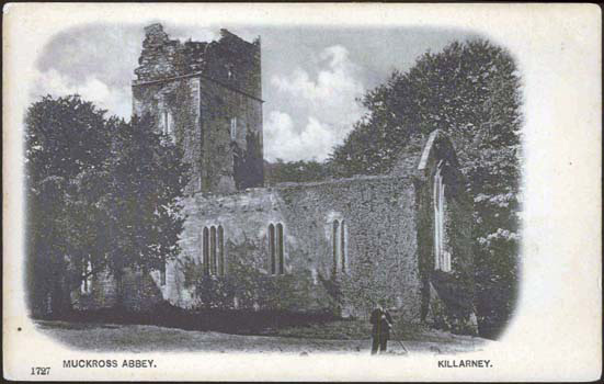 Muckross Abbey, Killarney